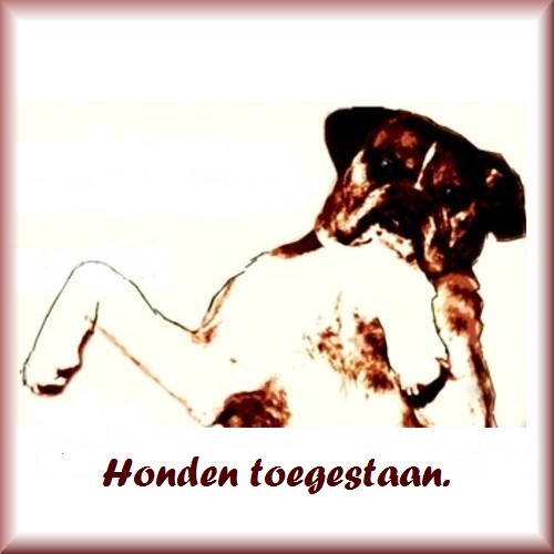 vakantiehuis ardennen te huur honden toegelaten